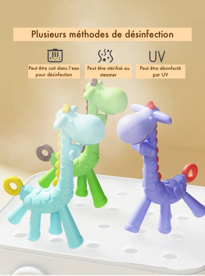 girafes méthodes désinfection